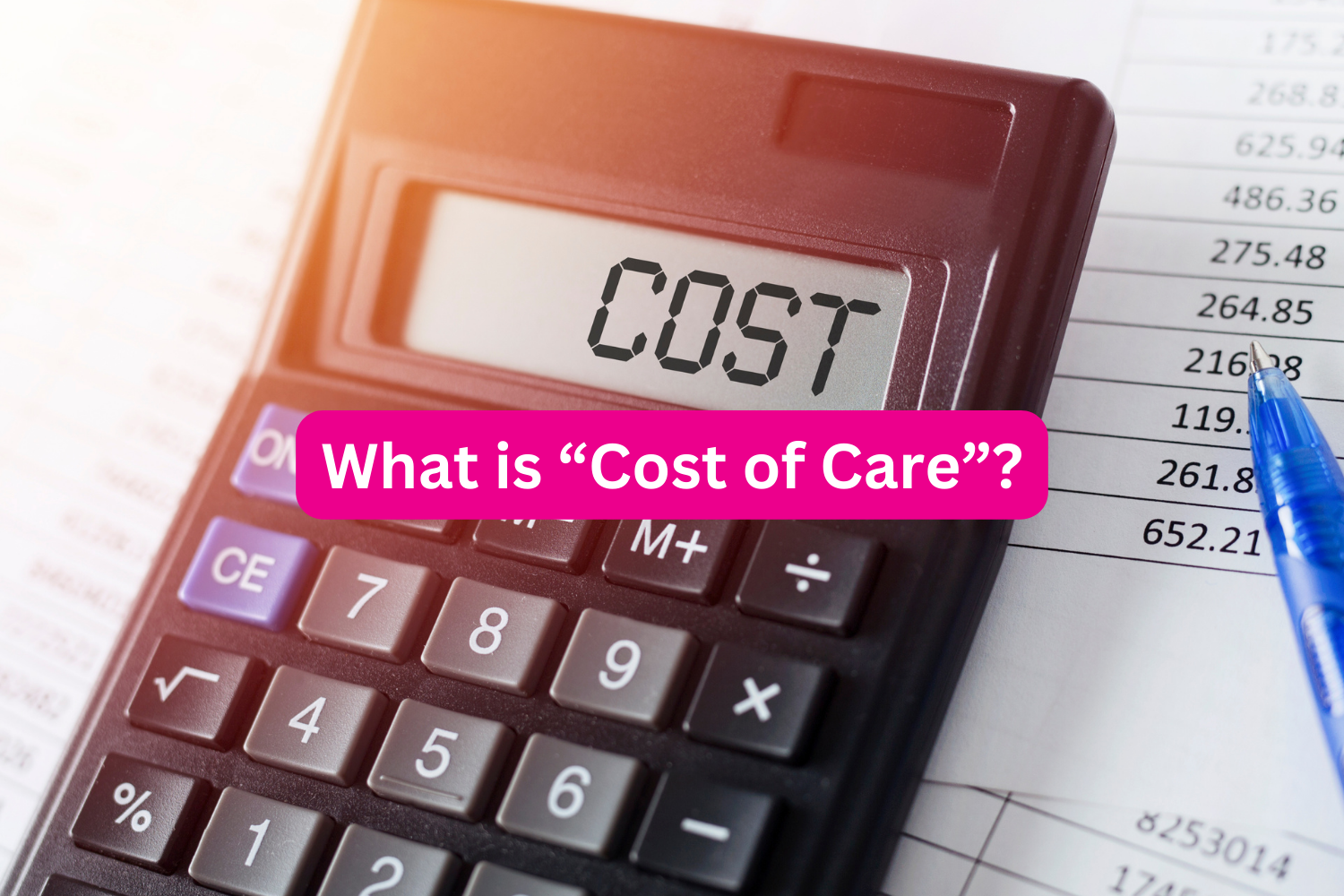 What is Cost of Care?