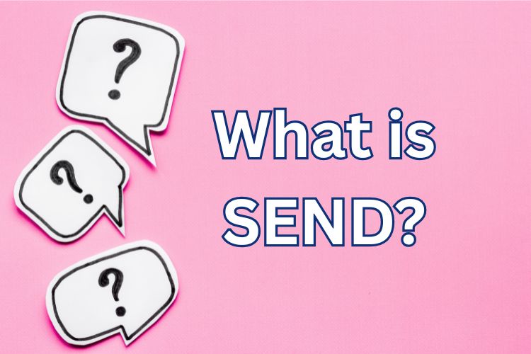 What is SEND? (Special Educational Needs or Disability)