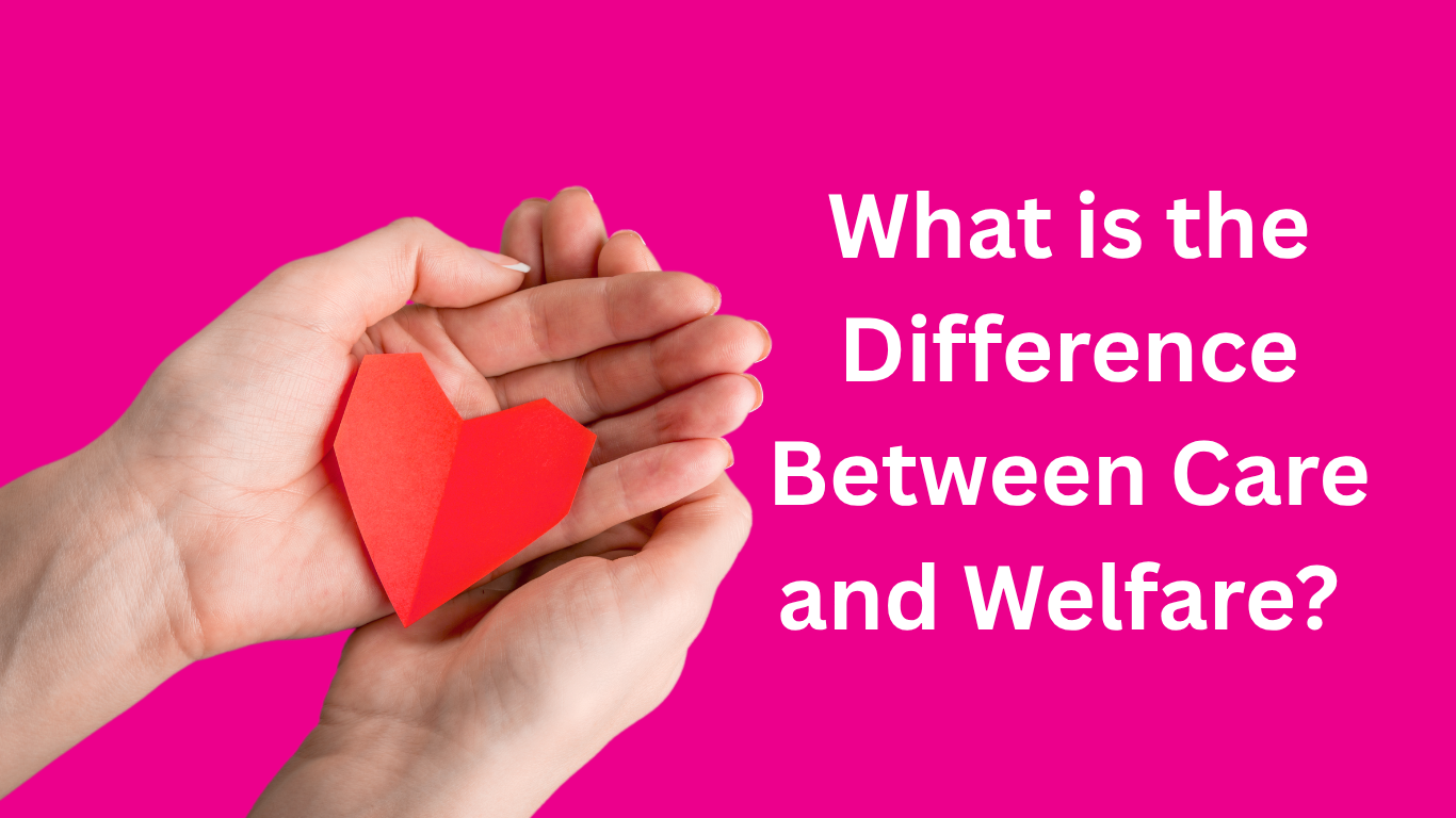 What is the Difference Between Care and Welfare?